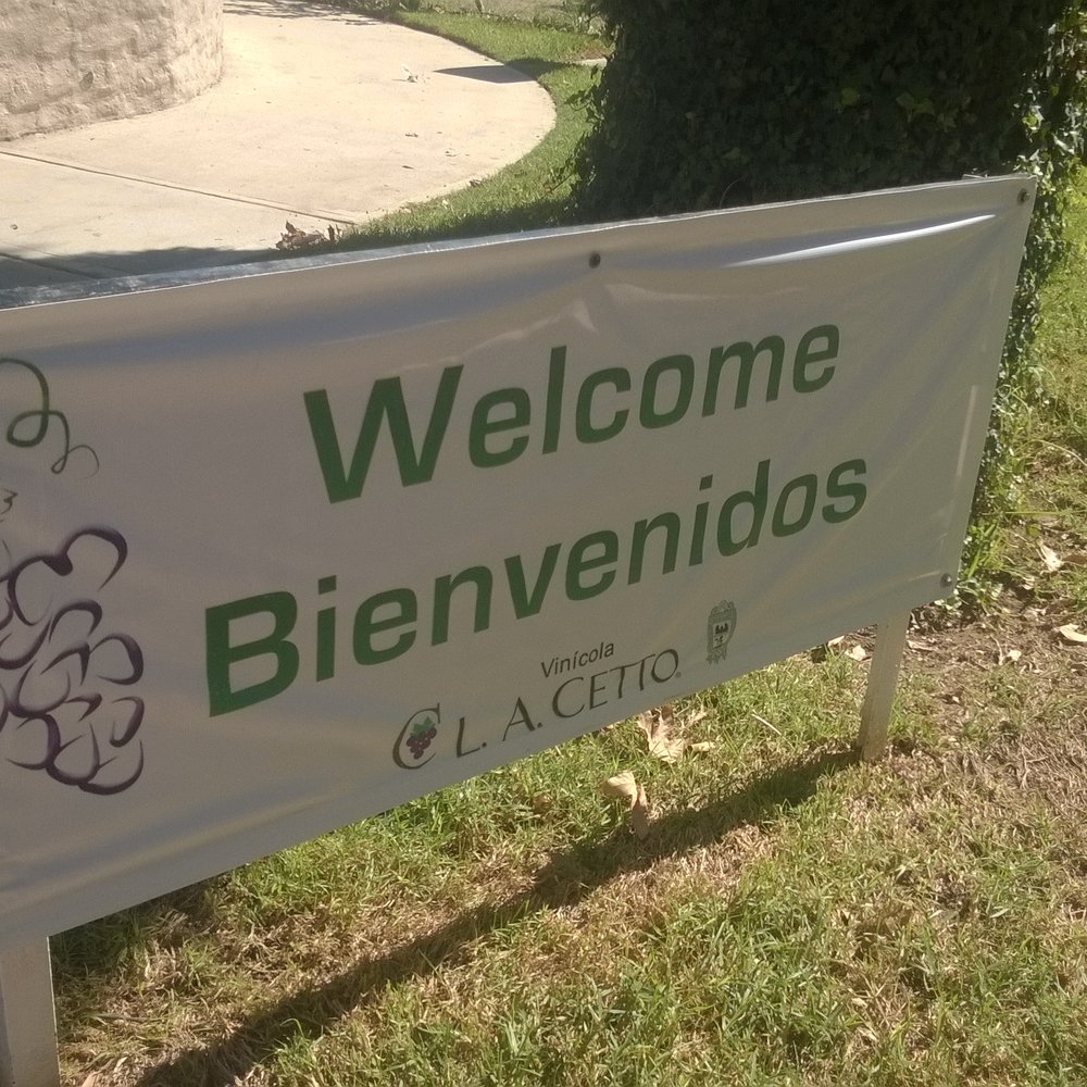 LA Cetto - Wineries Near Me - Valle de Guadalupe, BCN