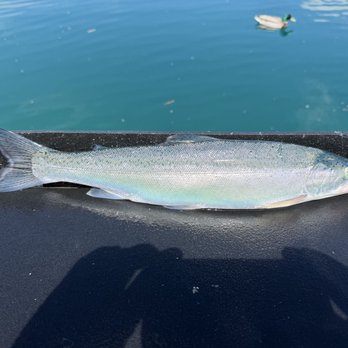 Lake Chelan Adventures - Fishing Near Me - Chelan, Washington