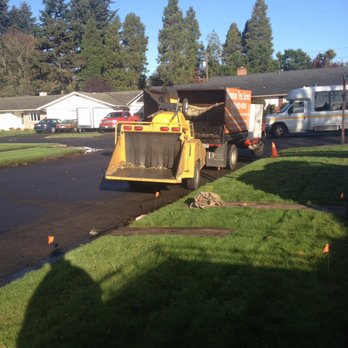 Nusz Tree Service - Tree Services Near Me