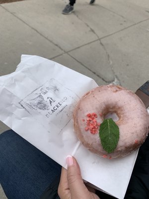 Blackbird Doughnuts Beacon Hill by null