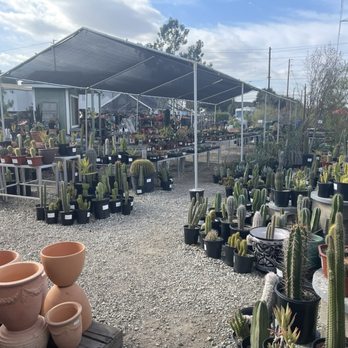 Glendora Gardens Nursery and Tree Farm - Cactus and succulent Mecca! - Nurseries & Gardening Near Me - Glendora, California