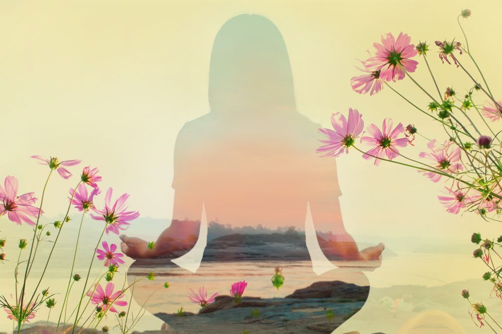 Translated Soul - grief counselor in Fresno, CA