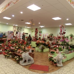 Rebis Floristik