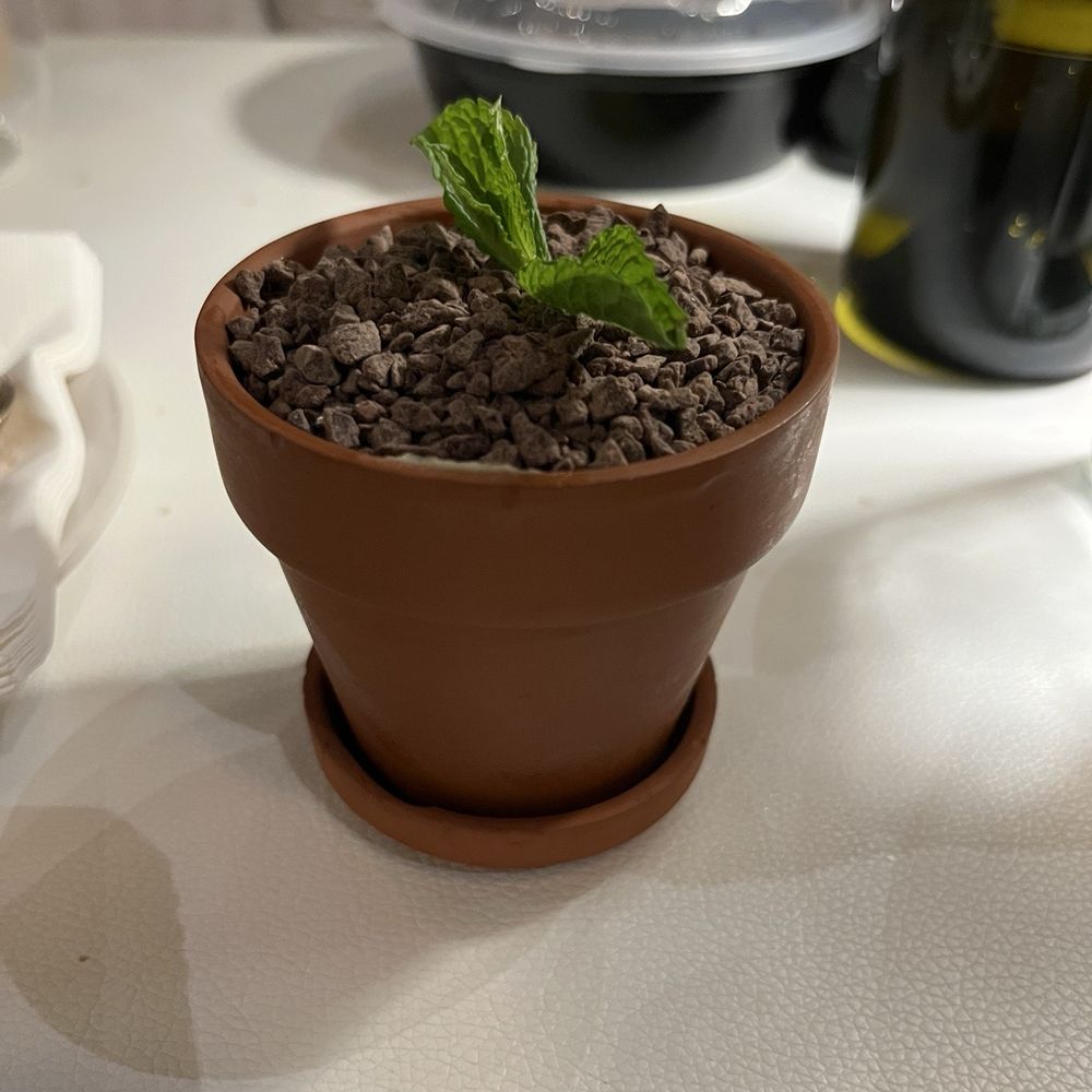 Luca Turci - Tiramisu - Italian Near Me - Winter Park, Florida Luca Turci - Tiramisu - Italian Near Me - Winter Park, Florida