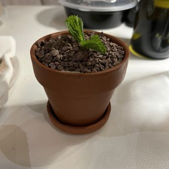Luca Turci - Tiramisu - Italian Near Me - Winter Park, Florida Luca Turci - Tiramisu - Italian Near Me - Winter Park, Florida