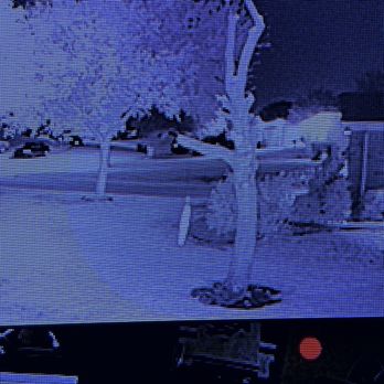 Arbor Masters Tree Service - Dead tree by arbor masters Grand Prairie TX - Tree Services Near Me - Grand Prairie, Texas Arbor Masters Tree Service - Dead tree by arbor masters Grand Prairie TX - Tree Services Near Me - Grand Prairie, Texas