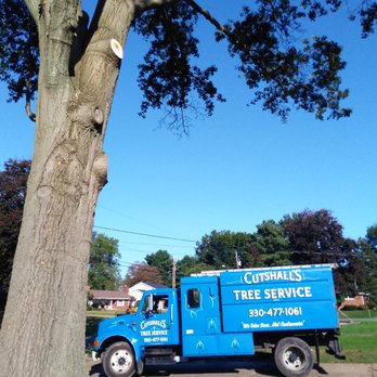 Cutshall's Tree Service - Best tree service and Stark county! - Tree Services Near Me - Canton, Ohio
