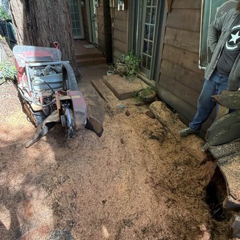 Stump'n Grind - Tight Quarters! - Tree Services Near Me