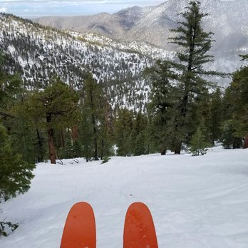Mount Waterman Ski Lifts - The glades at Mt Waterman. There is a trail there if you make it happen - Ski Resorts Near Me - La Canada, California Mount Waterman Ski Lifts - The glades at Mt Waterman. There is a trail there if you make it happen - Ski Resorts Near Me - La Canada, California