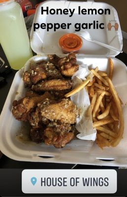 House Of Wings by null