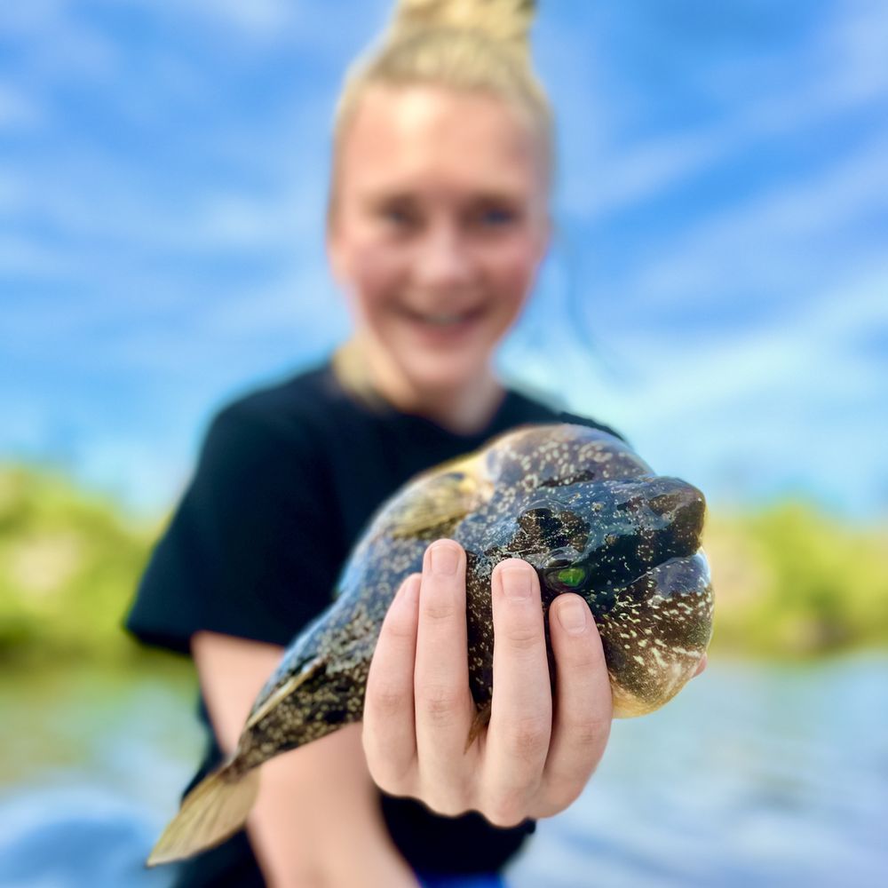 THE BEST 10 Fishing in CAPE CORAL, FL - Updated 2026 - Hours - Yelp THE BEST 10 Fishing in CAPE CORAL, FL - Updated 2026 - Hours - Yelp
