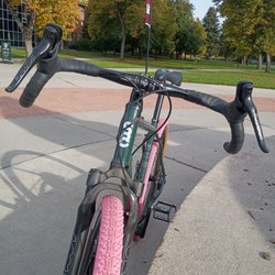Spotted Dog Cycles