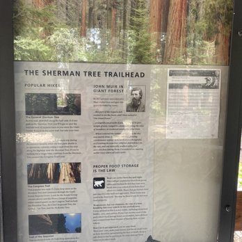 General Sherman Tree - Hiking Near Me - Sequoia National Park, California General Sherman Tree - Hiking Near Me - Sequoia National Park, California
