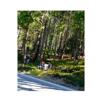 Wawona Campground by null