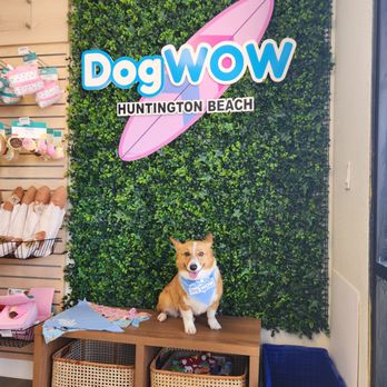 DogWOW - Pet Stores Near Me - Huntington Beach, California DogWOW - Pet Stores Near Me - Huntington Beach, California