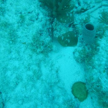 Captain's Corner Dive Center - Scuba Diving Near Me - Key West, Florida