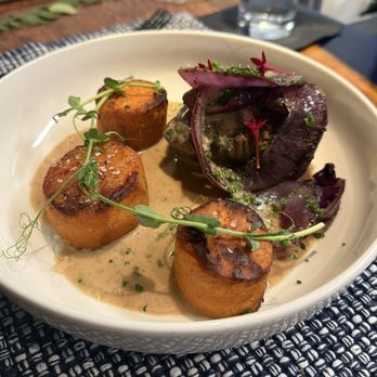Bin 6 South - Elk trois au poivre - Wine Bars Near Me - St. Petersburg, Florida