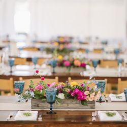 All About Flowers