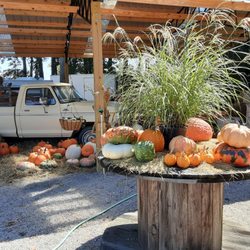 Raleigh Road Garden Center