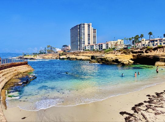 Children's Pool La Jolla by null