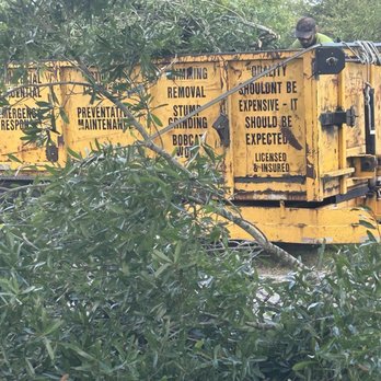 Greater Bay Area Tree & Arborist Services - Tree Services Near Me - Seminole, Florida Greater Bay Area Tree & Arborist Services - Tree Services Near Me - Seminole, Florida