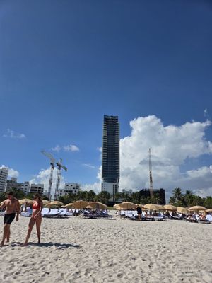 The Setai, Miami Beach by null