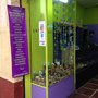 Photo of Encanto Nativo