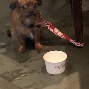 LongHorn Steakhouse - Lady at the bar had her purse dog with her - Steakhouses Near Me - Grand Rapids, Michigan