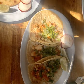 Maya Fusion Cafe - Mexican Near Me - Brooklyn, New York