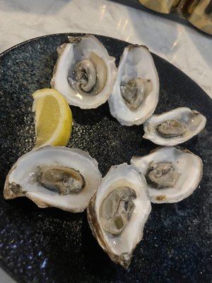 Kyle G's Oyster and Wine Bar by null