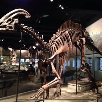 Field Museum - Museums Near Me - Chicago, Illinois Field Museum - Museums Near Me - Chicago, Illinois