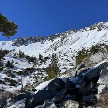 San Antonio Ski Hut - Trail condition (End of January 2022) - Hiking Near Me - Mount Baldy, California