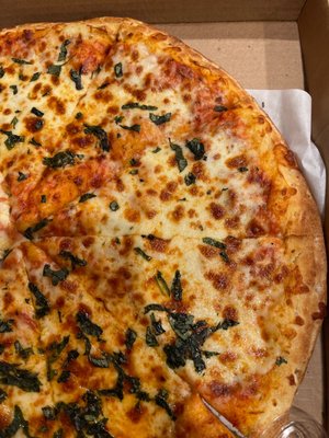 Piccolo Italia by null