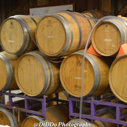 Mount Salem Vineyards - Downstairs from the tasting room