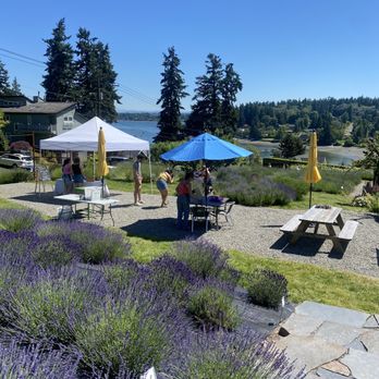 Lavender Hill Farm - Vacation Rentals Near Me - Vashon, Washington Lavender Hill Farm - Vacation Rentals Near Me - Vashon, Washington