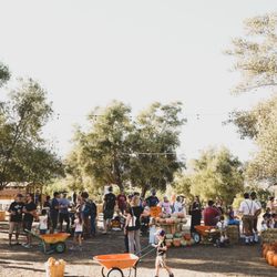 The Vineyard 1924 - Pumpkin patch season is always busy! Great for thee whole family
