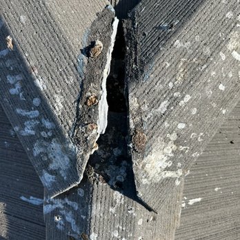 Samperios Roofing - birds nested - Roofing Near Me Samperios Roofing - birds nested - Roofing Near Me