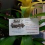 Photo of Susie Foods