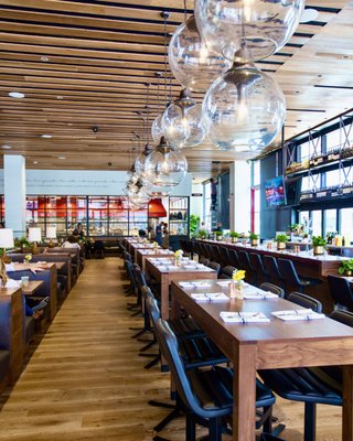 North Italia by null