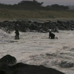 Steilküste Hiddensee