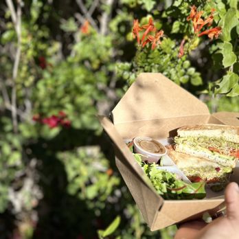 Leafs and Grounds - Veggie sandwich, cream cheese spread, cucumber, avo, sprouts and tomatoe w a salad! - Coffee & Tea Near Me - Las Vegas, Nevada