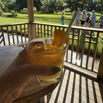 Kauai Safaris - Mai tai! - Tours Near Me - Lihue, Hawaii Kauai Safaris - Mai tai! - Tours Near Me - Lihue, Hawaii