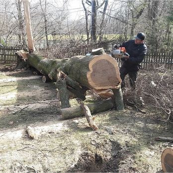 Tico's Tree Service - Tree Services Near Me - West Orange, New Jersey