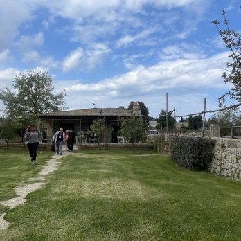 Donna Maria Trattoria - The front greenery area - Cafeteria Near Me - Tricase, LE