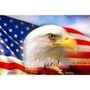 Photo of Yankee Doodle Flags & More
