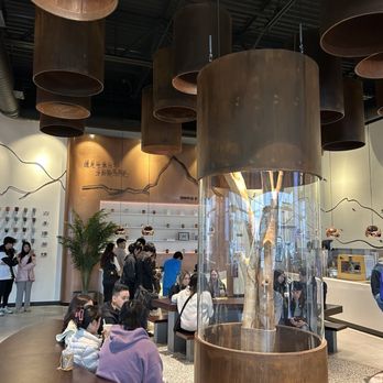 Chicha San Chen - Interior - Bubble Tea Near Me - Carrollton, Texas