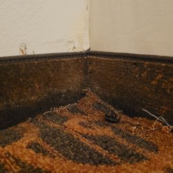 Holiday Inn San Antonio-Dwtn - Carpet curled water damaged moldy!