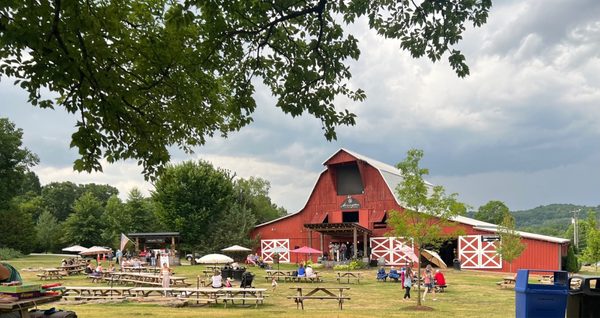 Arrington Vineyards by null