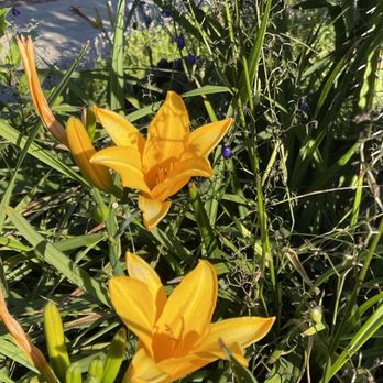 Holistic Gardening Company - Landscaping Near Me Holistic Gardening Company - Landscaping Near Me