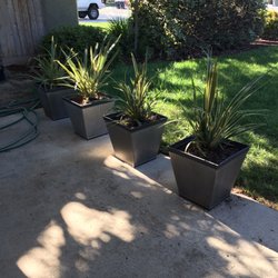 Carlos Cruz Lawn Care